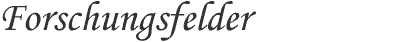 font_forschungsfelder.gif