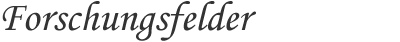 font_forschungsfelder.png
