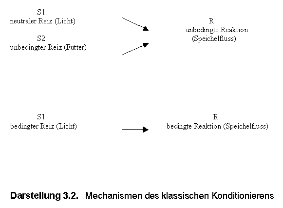 3_2_mechanismen_klassisches_konditionierten.gif