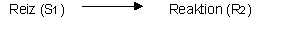 3_reiz_s1_reaktion_r2_von_matthieu.gif