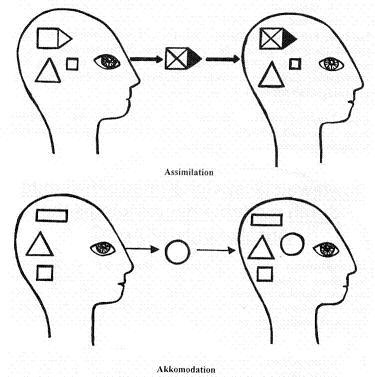 assimilation_klein.jpg