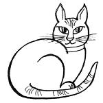 Katze2.jpg